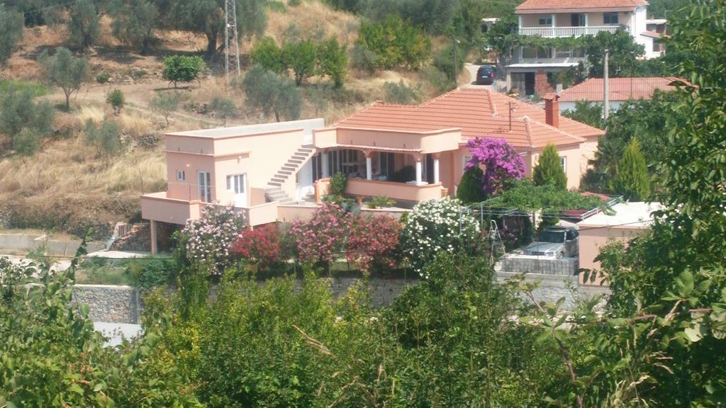 Guest'S House "Lindi&Roni" Lägenhet Ulcinj Rum bild